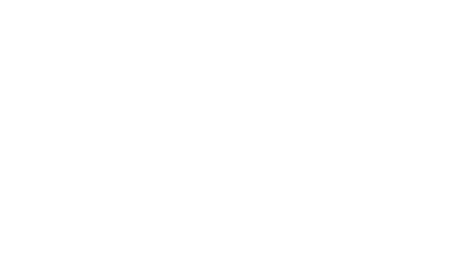 Bridged Centre for Impact